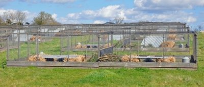 Pheasent-rearing-pens-400x172.jpg